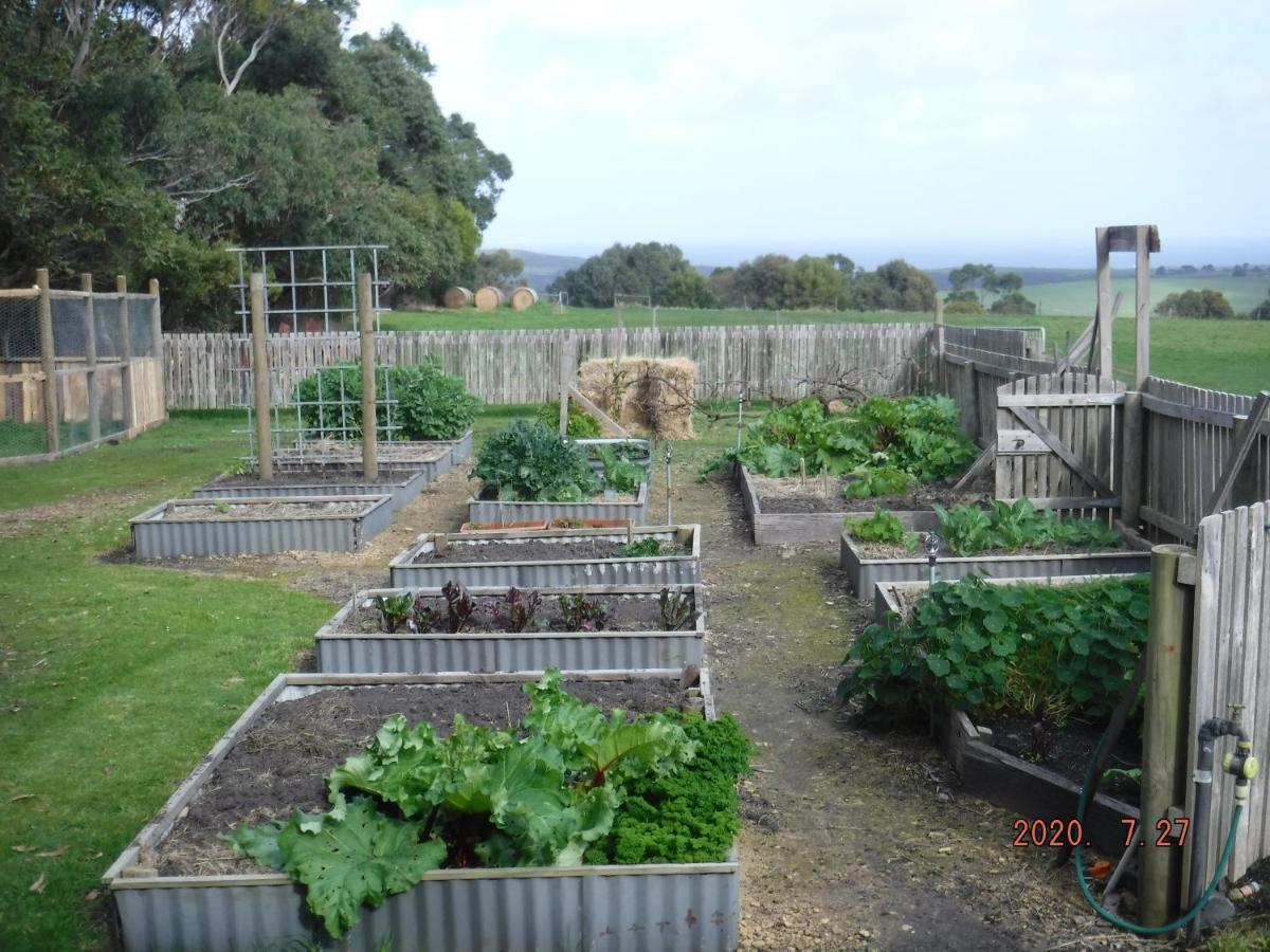 Arabella Country House Bed and Breakfast Princetown Esterno foto